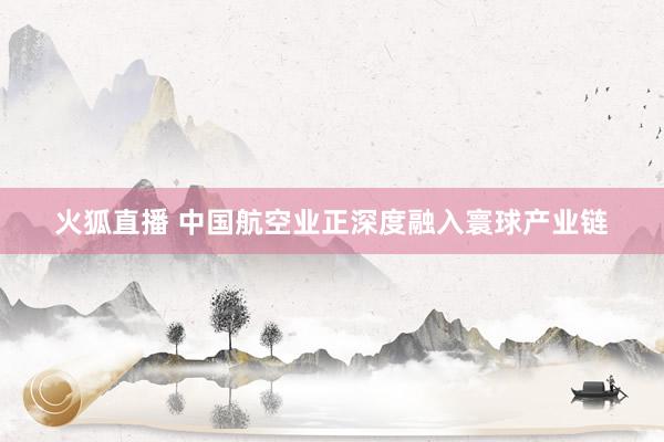 火狐直播 中国航空业正深度融入寰球产业链