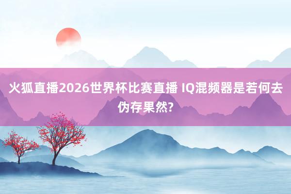 火狐直播2026世界杯比赛直播 IQ混频器是若何去伪存果然?