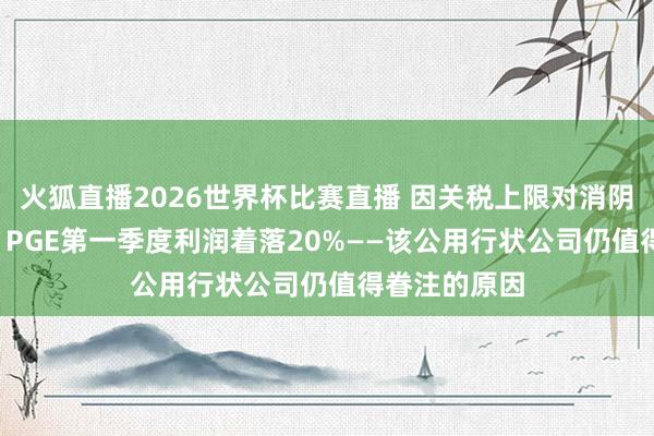 火狐直播2026世界杯比赛直播 因关税上限对消阴凉天气收益， PGE第一季度利润着落20%——该公用行状公司仍值得眷注的原因