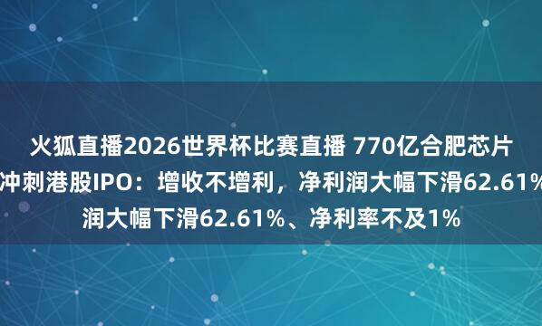 火狐直播2026世界杯比赛直播 770亿合肥芯片“黑马”晶书册成冲刺港股IPO:增收不增利,净利润大幅下滑62.61%、净利率不及1%
