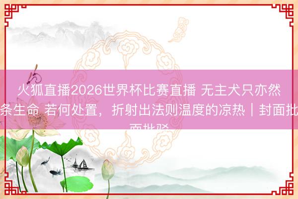 火狐直播2026世界杯比赛直播 无主犬只亦然一条生命 若何处置,折射出法则温度的凉热|封面批驳